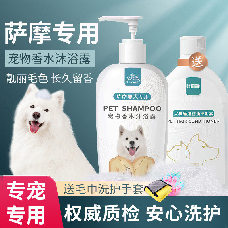萨摩耶沐浴露狗狗白毛专