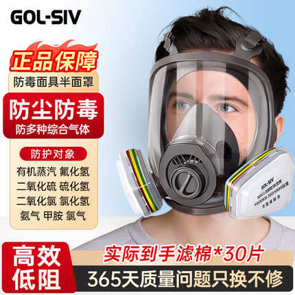 胜丽防毒面具化工气体喷漆农药专用自吸过滤式全封闭过滤盒全面罩