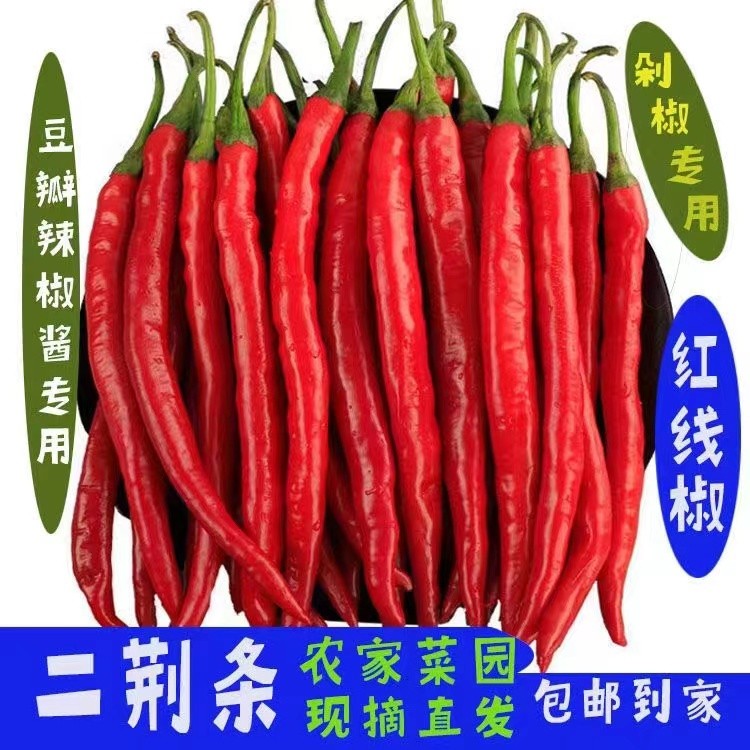 23贵州新鲜红辣椒二荆条红线椒红海椒辣子香辣农家自种蔬菜长辣椒