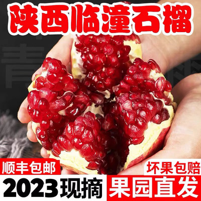 2025陕西临潼石榴新鲜软籽孕妇水果特大石榴礼盒装西安特产企送礼
