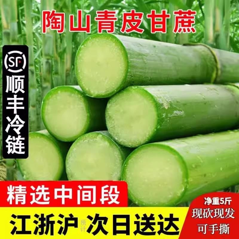 陶山甘蔗新鲜脆青皮绿皮本地特级孕妇当季水果甘蔗5温州特产礼盒