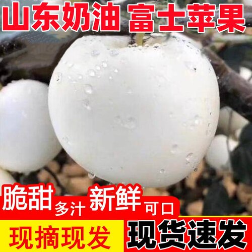 山东奶油富士苹果牛奶白苹果黄金奶油冰糖心当季新鲜水果脆甜整箱