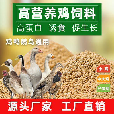 Высококачественный корм для цыплят Xinkang цыплята для выращивания уток, специальный корм для открытия, средний размер курицы, средний размер частиц, корм для курицы, производство яиц