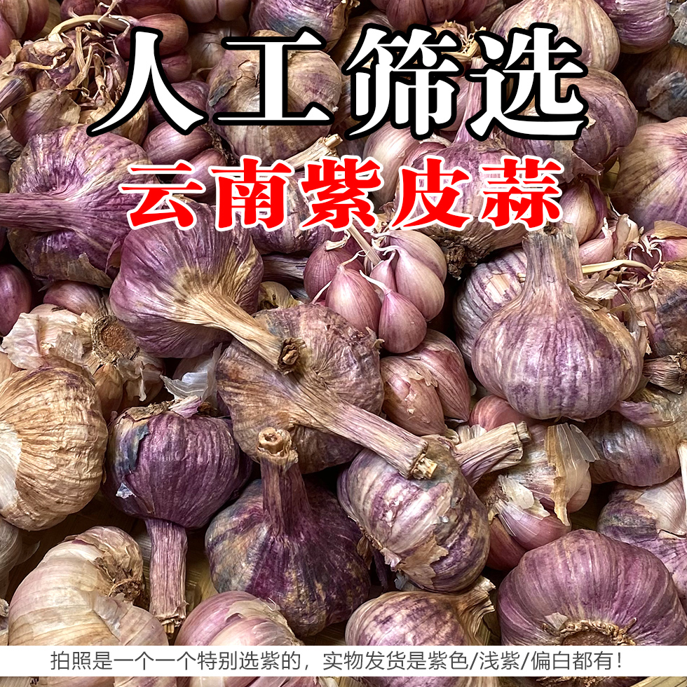 老品种红香蒜3斤5斤中大果云南紫皮大蒜干蒜德宏农家自种大蒜头