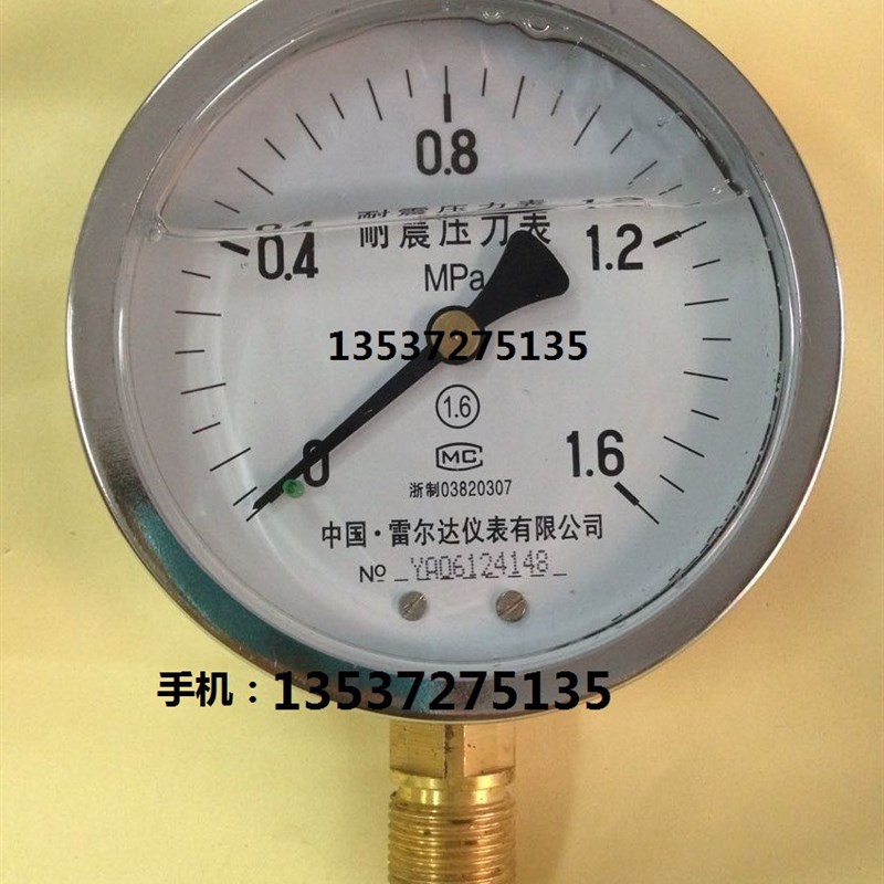 雷尔达耐震压力表YN-100 0-1 1.6 10 40MPA液压表油压表全规格