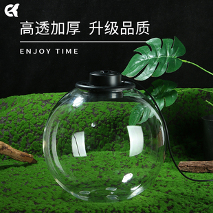 桌面自循环免打理微观生态瓶圆形苔藓diy植物造景玻璃绿植生态缸