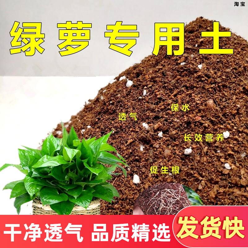 绿萝专用土不易板结吸毒绿植培植土壤弱酸性花卉盆栽通用型营养土