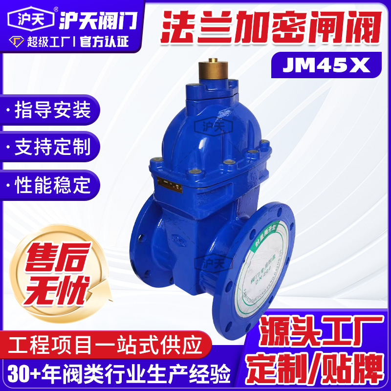 沪天法兰加密闸阀JM45X防盗软密封闸阀球墨铸铁加密锁闭闸阀门