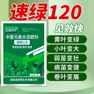 正品速绿120叶绿素提苗生根壮棵叶片增绿增厚中量元素水溶叶面肥