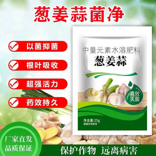 正品葱姜蒜菌净大葱大蒜专用微生物菌剂农用干尖黄叶一喷绿灰霉疫