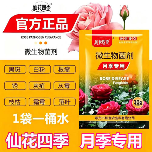 花枝美月季病菌清月季花专用药黑斑白粉黄叶家庭园艺玫瑰蔷薇通肥