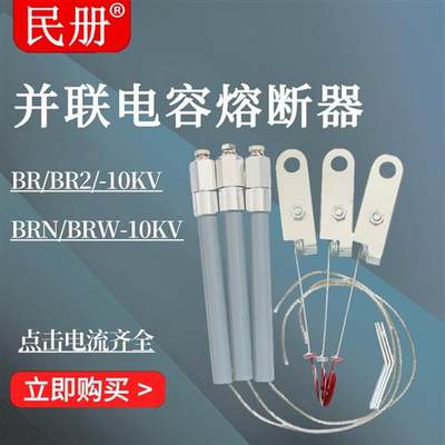 BR2 BRN BRW-10-12KV高压并联电容器20A65A70A100A熔断器管保险丝