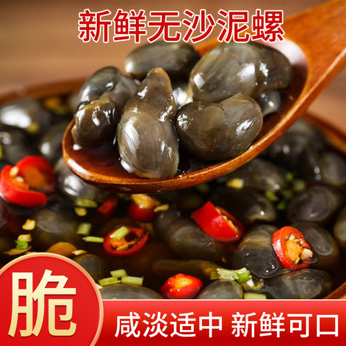 盐城特产500g大泥螺黄泥螺醉活泥螺即食罐装生腌小海鲜无沙脆嫩