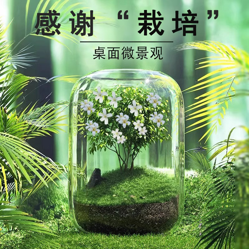 毕业季生日礼物创意实用送给男老师女领导升职离退休纪念品的定制