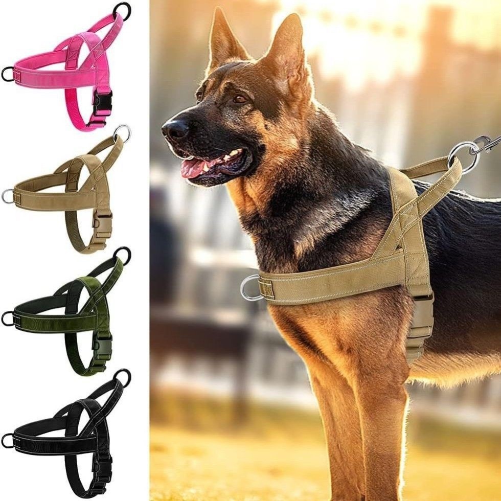 狗狗胸背带中大型犬背心式牵引绳项圈马犬金毛德牧宠物脖圈遛狗绳