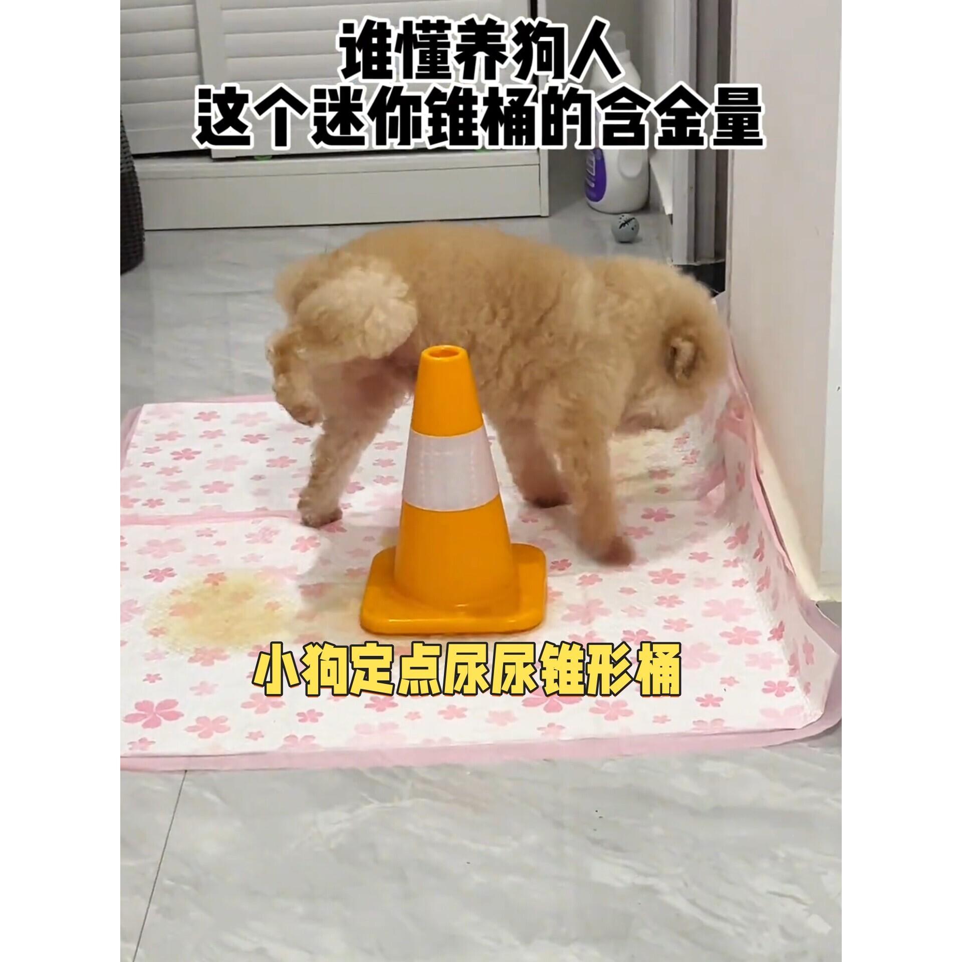 狗狗尿尿立柱公狗定点厕所抬腿撒尿雪糕桶训练撒尿锥桶防乱尿神器