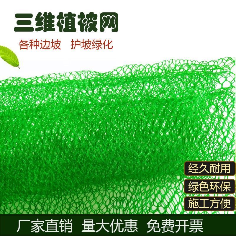 三维植被网护坡固土园林绿化网垫三维植草土工网河道防护生态网