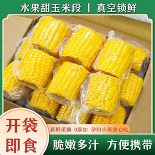 開袋即食玉米早餐低脂免煮代餐 云南黃金水果甜玉米段新鮮真空包裝