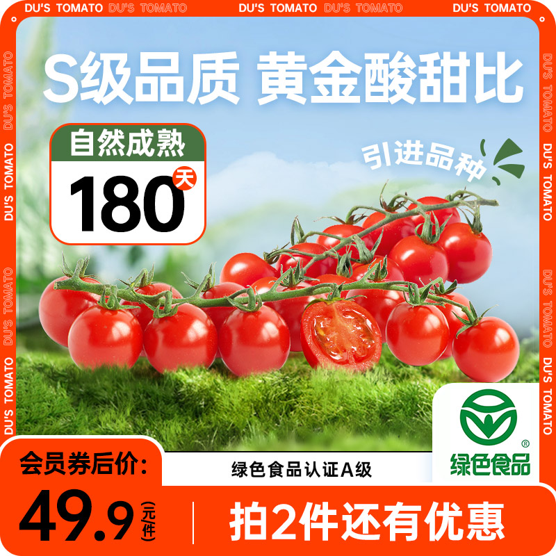 新鲜小番茄串收维纳果千禧圣女果自然熟非普罗旺斯樱桃水果西红柿