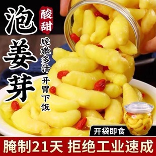 正宗山东特产零添加枸杞泡姜芽新鲜嫩生姜腌制下饭菜剂配料干净