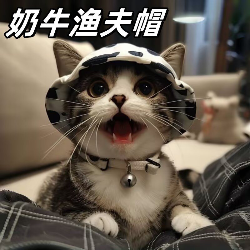 狗狗猫咪帽子柯基猫咪渔夫帽狗狗帽子薄款夏季防晒夏遮阳防勒耳朵
