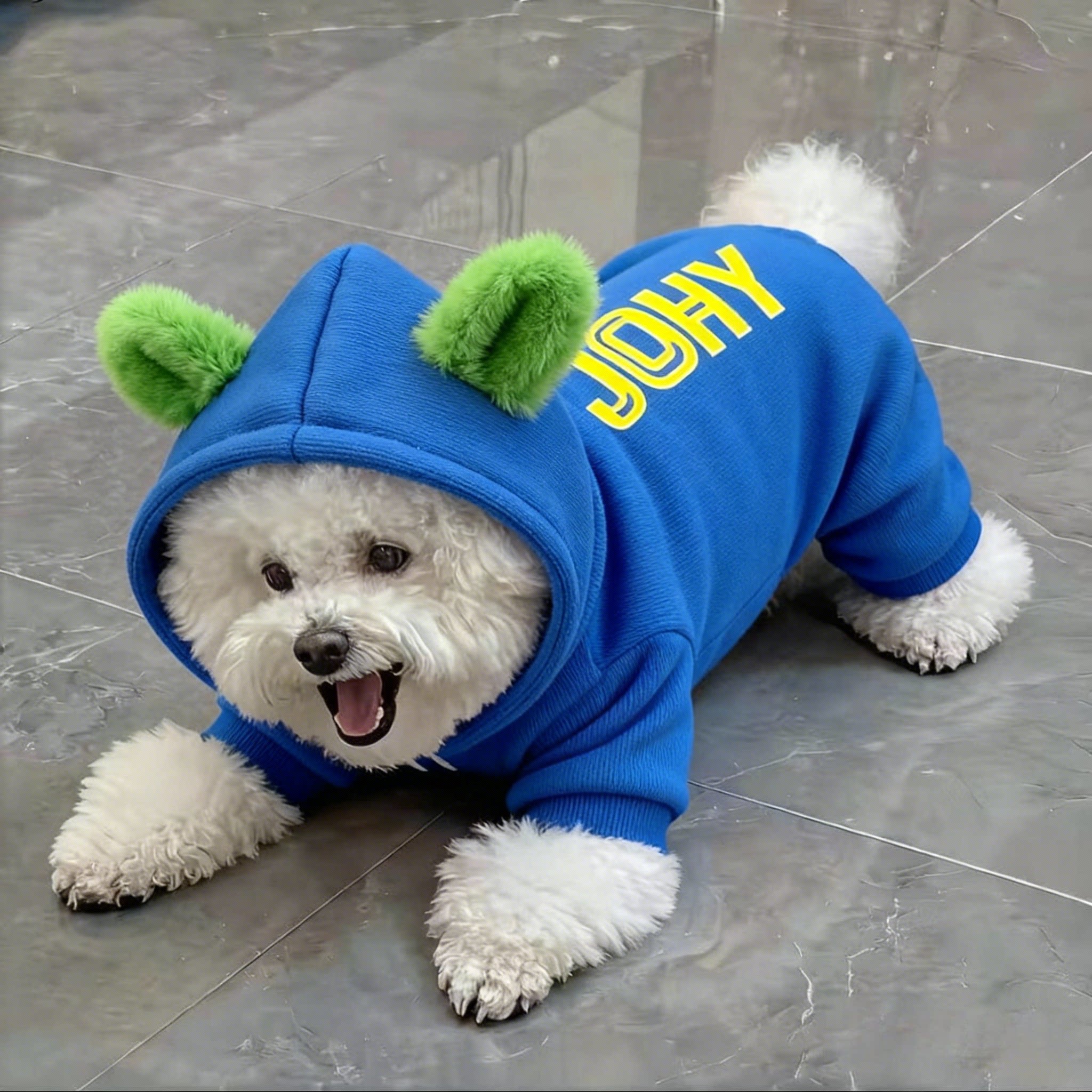 狗狗衣服潮牌连帽卫衣加绒秋冬款保暖防掉毛泰迪比熊布偶猫咪衣服