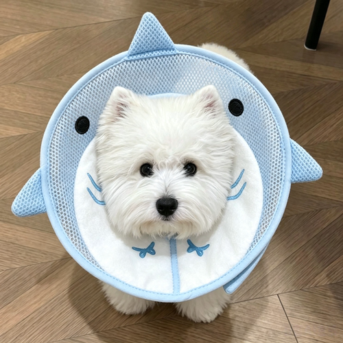 狗狗伊丽莎白圈鲨鱼卡通脖圈宠物绝育术后防舔防咬项圈狗头罩神器