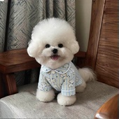 金渐层布偶空调服纯棉 衬衫 猫咪衣服居家睡衣春秋新款 宠物打底短袖