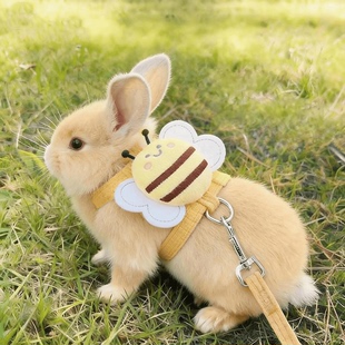 兔子牵引绳遛兔专用品防挣脱小白侏儒兔衣服宠物溜兔兔外出绳链子