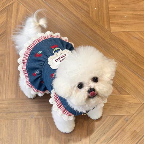 狗狗牛仔仙女蓬蓬裙可牵引新款