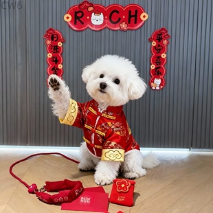 狗狗衣服冬装保暖新年唐装泰迪比熊博美中小型犬盘扣龙纹春节棉衣