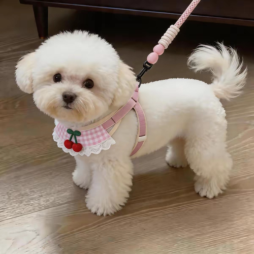 遛狗牵引绳狗狗链子小型犬网红宠物胸背带泰迪博美比熊幼犬牵狗绳