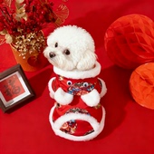 狗狗衣服冬季 加厚拜年新年连帽保暖冬天过年喜庆泰迪猫咪宠物唐装