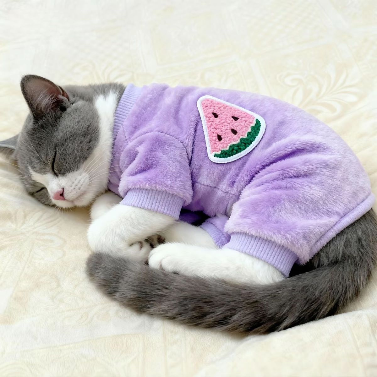 猫咪衣服冬季水果绒四脚衣保暖布偶蓝猫狸花金渐层小型犬加绒睡衣
