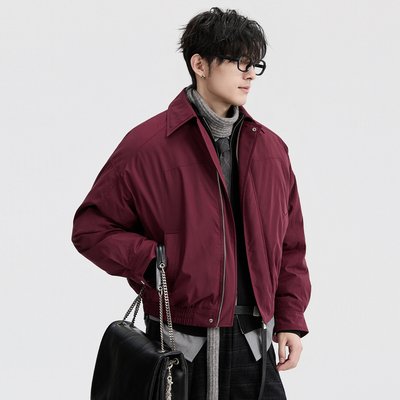 伯爵卓尔25深冬短款时尚翻领羽绒服外套男宽松休闲廓形保暖面包服