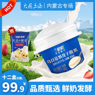 兰格格奶皮子酸奶140g*12+谷物包15g*12内蒙古乌兰察布乌日莫酸奶