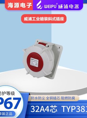 WEIP威浦防水航空插头工业暗装斜式插座 TYP3819 32A4芯3P+E IP67