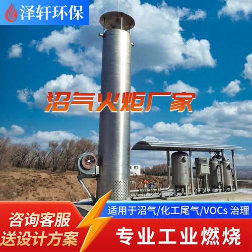 厂家直供山东泽轩沼气火炬工业废气燃烧设备污水处理封闭沼气火炬