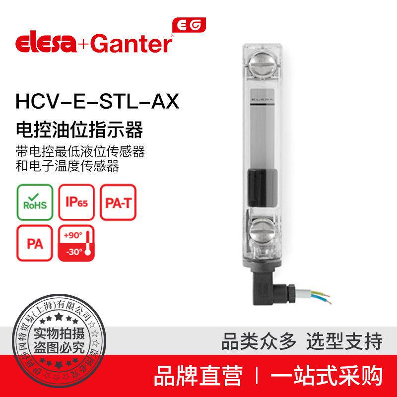 ElesaGanter伊莉莎冈特HCV-E-STL-AX电控油位指示器