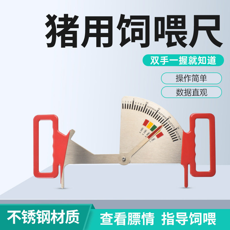 母猪背膘尺猪用不锈钢饲喂尺猪场测定喂料管理标尺膘情控制指导器
