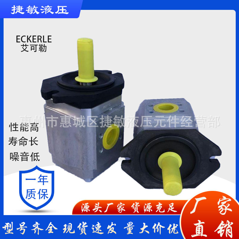 德国ECKERLE艾可勒齿轮泵890-E1-1000-RS2-C502注塑机高压油泵