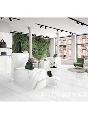 室内地砖客厅地砖墙砖质量保障伊丽莎白FMB8029PCQ