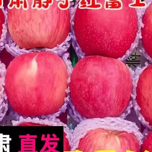 正宗甘肃静宁红富士苹果一级精品冰糖心水果新鲜整一箱10斤