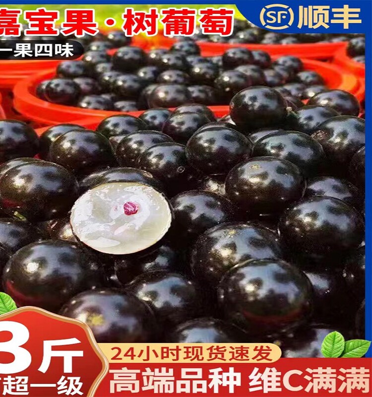 嘉宝果鲜果新鲜水果孕妇果稀有罕见高端珍宝果空运图片