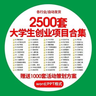 大学生创业项目全套资料就业返乡热门副业商业活动策划方案模板