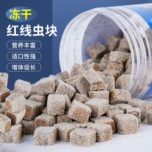 红线虫粘贴鱼食小型观赏鱼饲料孔雀鱼鹦鹉鱼燕鱼水蚯蚓鱼粮龟粮