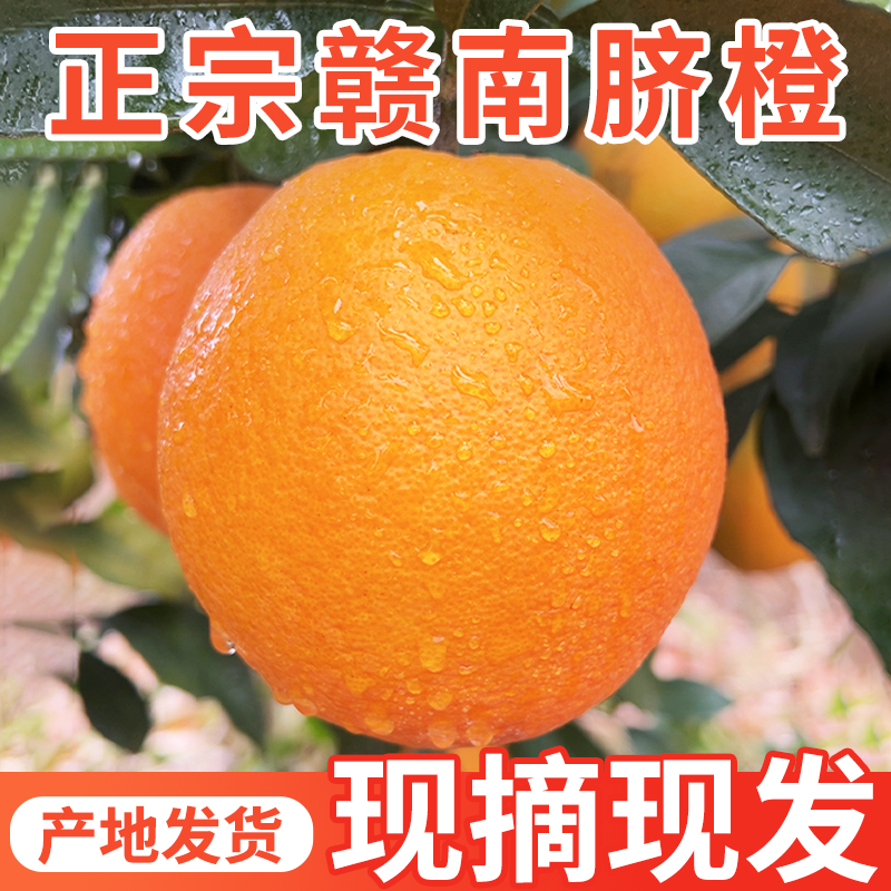 正宗赣南脐橙9斤橙子应当季水果新鲜包邮赣州果冻橙手剥冰糖甜橙