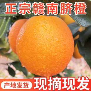 50%正宗赣南脐橙9斤应当季水果新鲜包邮