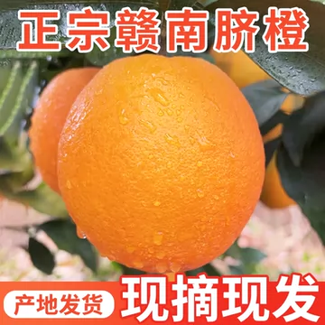 50%正宗赣南脐橙9斤应当季水果新鲜包邮