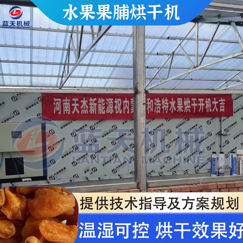 果脯烘干机 大型李子杏子果脯蒸煮烘干设备 青梅桃子水果干烘干机